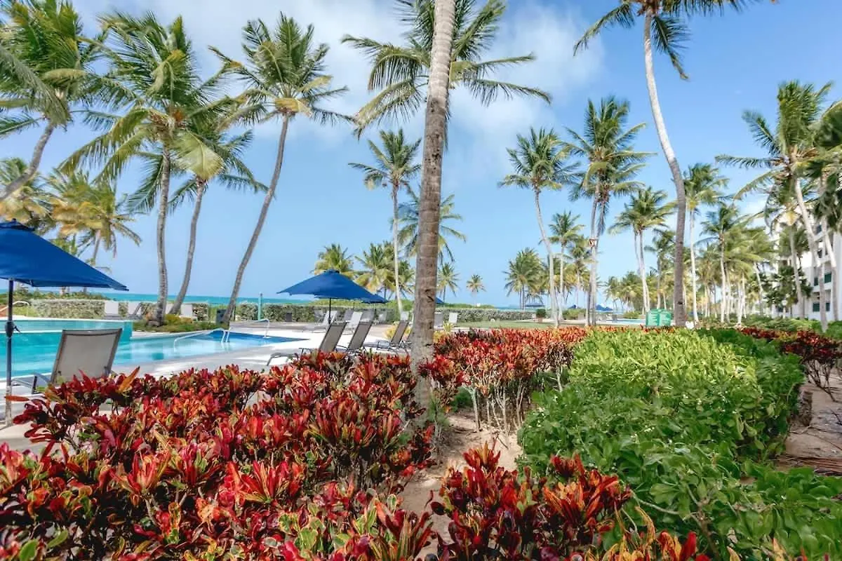 Luxury Beachfront 1Br Villa In Ocean Villas - Breathtaking Views - Villa Isla Encantada Рио-Гранде